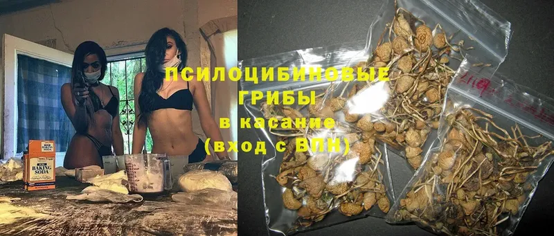 Псилоцибиновые грибы Magic Shrooms  Зеленодольск 